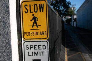 Carlsbad, CA - Karla Levya Loses Life in Pedestrian Crash on E Las Palmas Ave